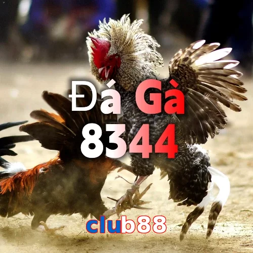 club88